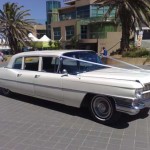 Caddy-1_152d48769bf4b2.jpg
